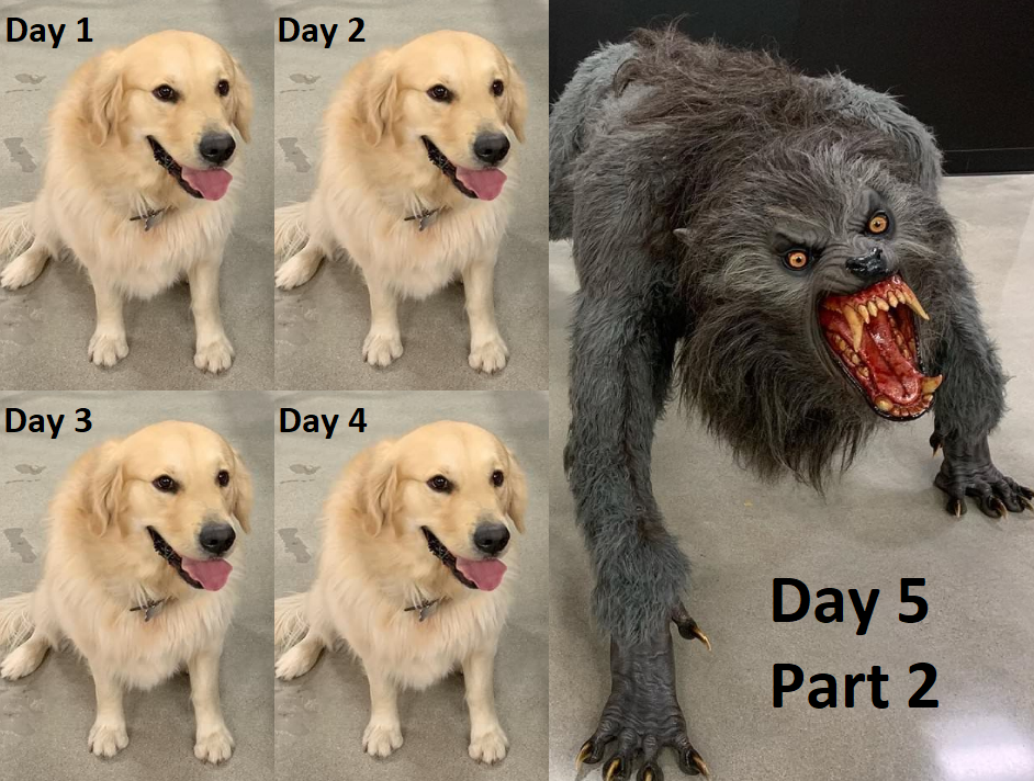 Day 5 Advent of Code Meme